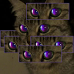 Meet your Posher, Teresa